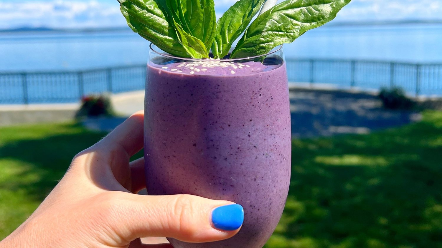 vegan-blueberry-basil-smoothie-recipe